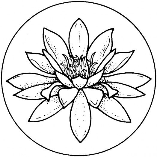 Plansa de colorat cu Liliac 41 36